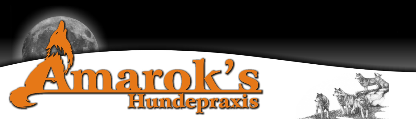 Amarok's Hundepraxis - Klaus Nehrkorn logo
